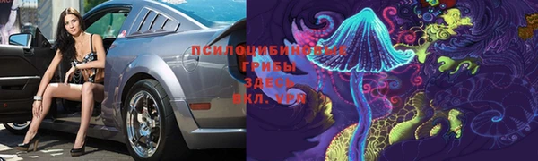 экстази Ельня